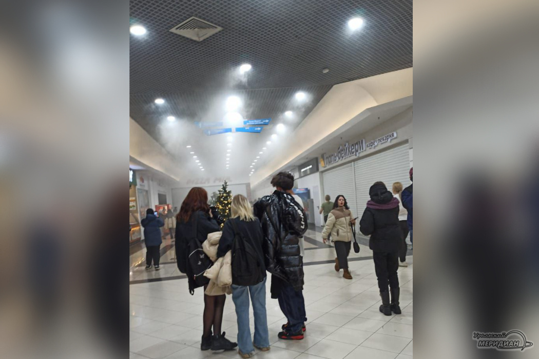    Фото: читатель © ИА «Уральский меридиан»