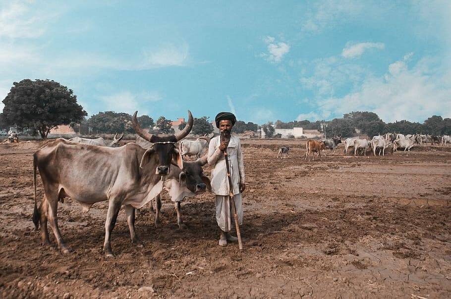     Фермер в Индии   
www.piqsels.com