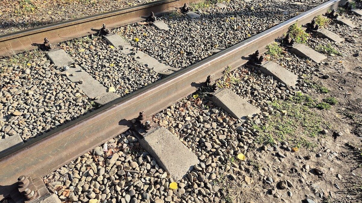    Фото: телеканал «Краснодар»