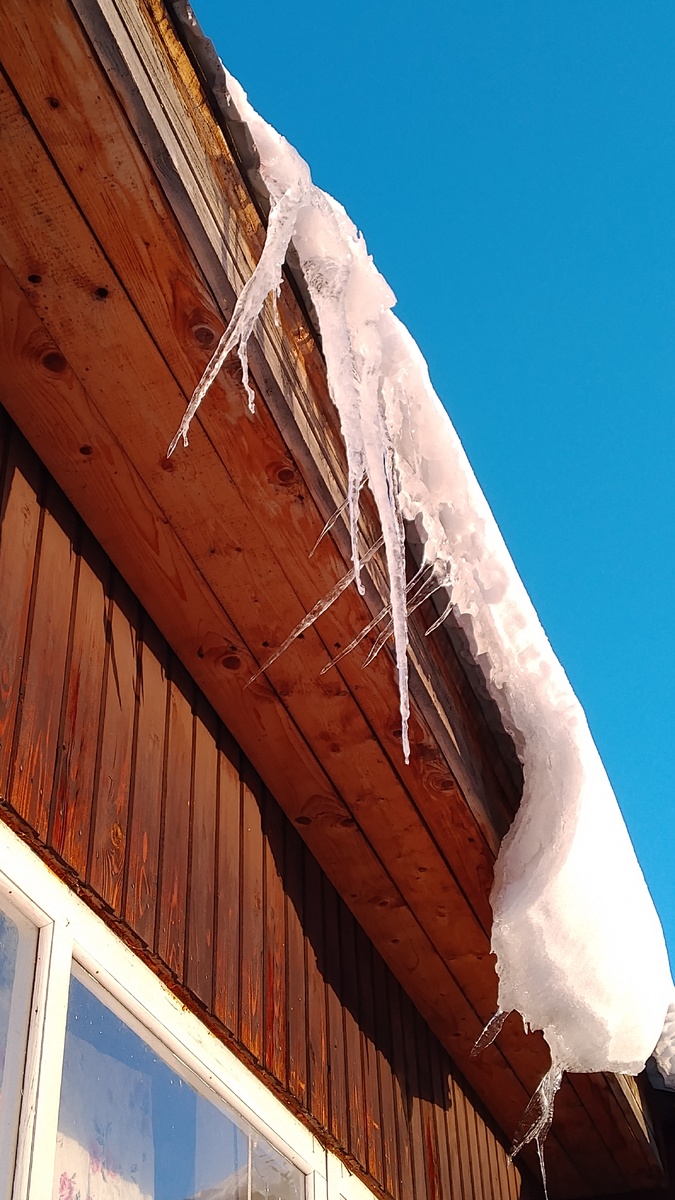 А в старину примечали, какой длины сосульки, какое зерно лучше сеять, вот только я позабыла  подробности🙆‍♀️
