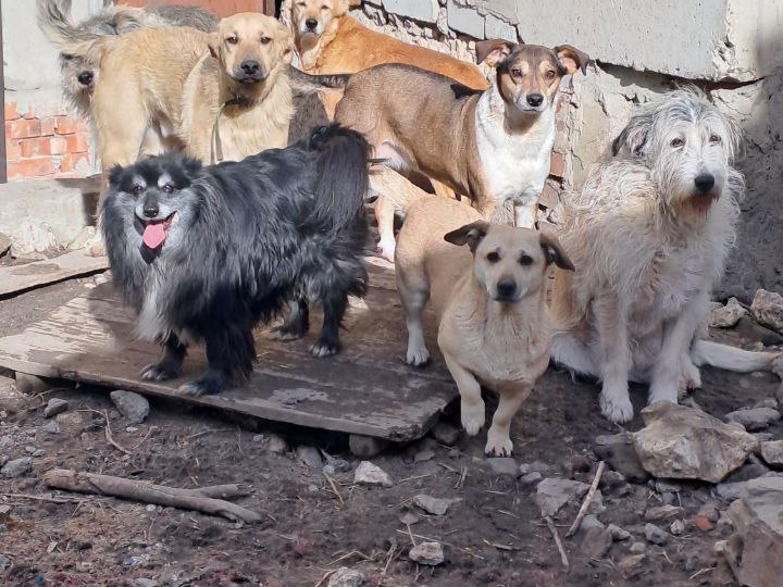 Не проходите равнодушно мимо