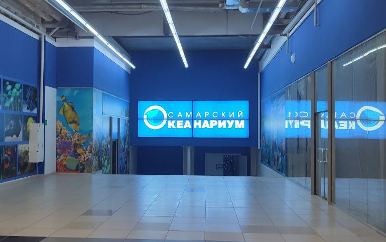 Самарский океанариум: личный отзыв.