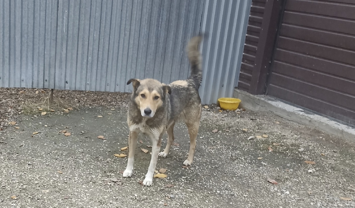 У бывшего " своего" дома.