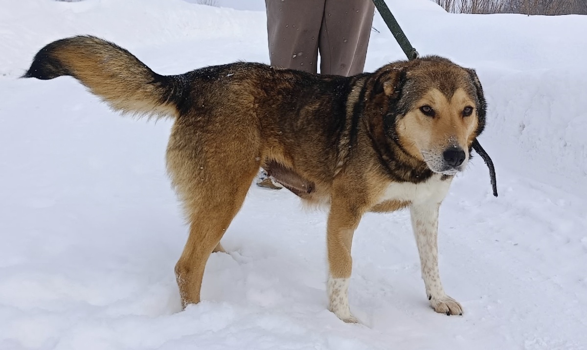 Знакомьтесь, Соня!