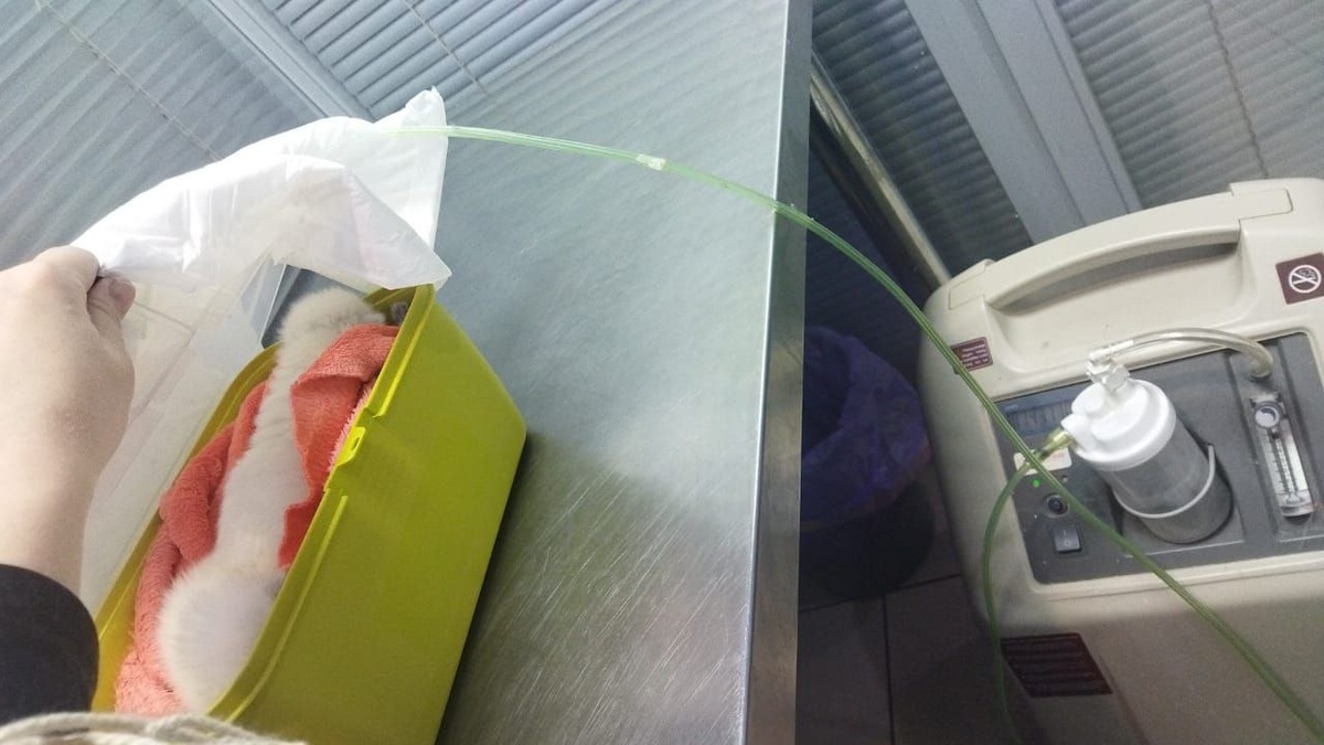 Ждали приема тоже на кислороде. По другому было нельзя.