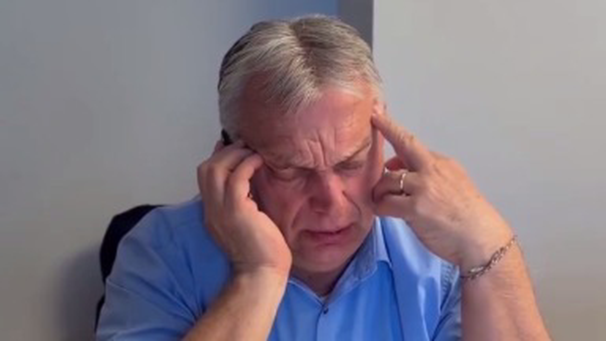    Фото: Скриншот видео / Clash Report / Telegram