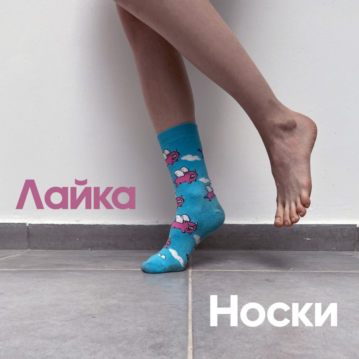 Обложка песни "Носки" исполнительницы Лайка
