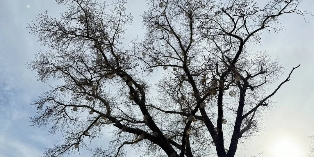 Гороскоп для всех знаков Зодиака на 12 марта 2026 года