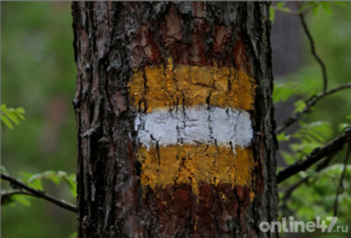 фото: Валентин Илюшин/Online47