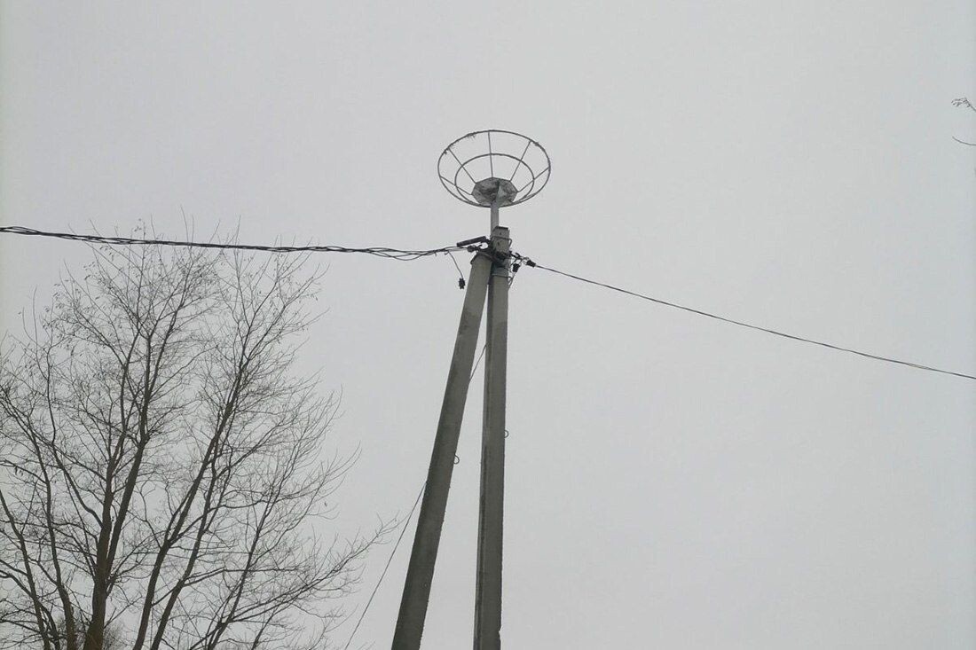  Платформа для аистов. © Гомельэнерго, Telegram