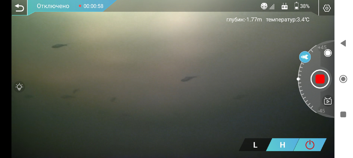 Рыбки не плавают по дну!