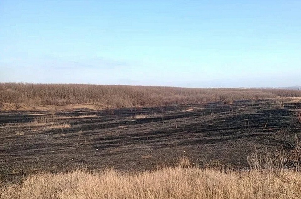    Огонь уничтожил гектар сухой травы. Фото: МЧС России по ДНР