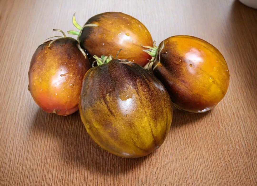 Томат Рыжая Комета Софии