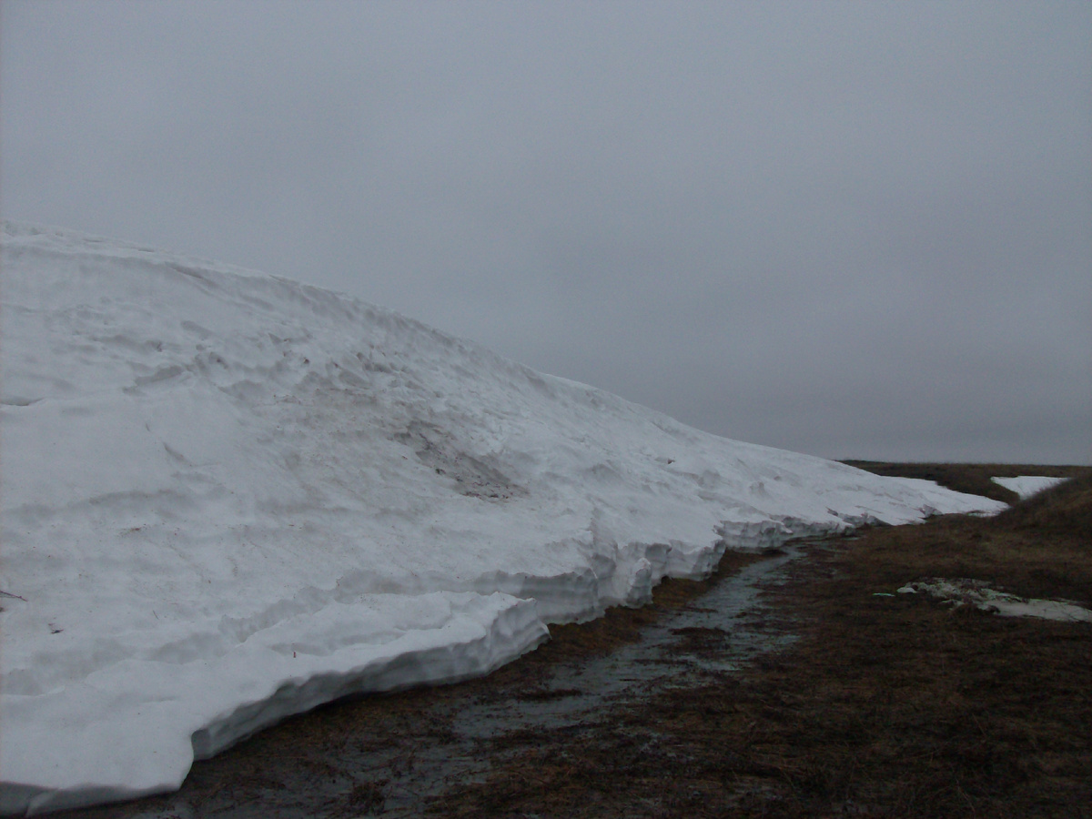 Пейзаж очень похож на Курильские острова ))