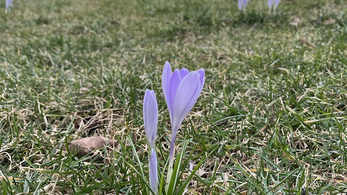    Фото: телеканал «Краснодар»