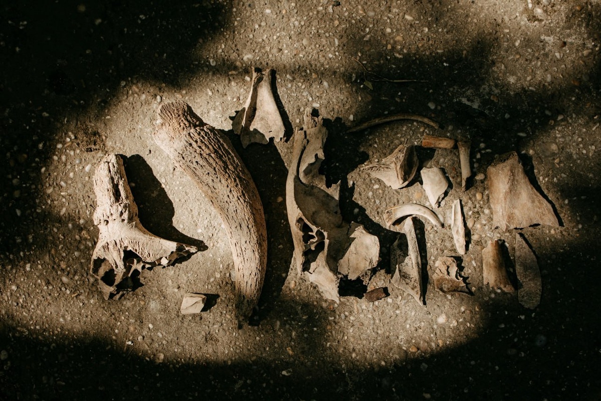 Фото: Trnava University / Unsplash