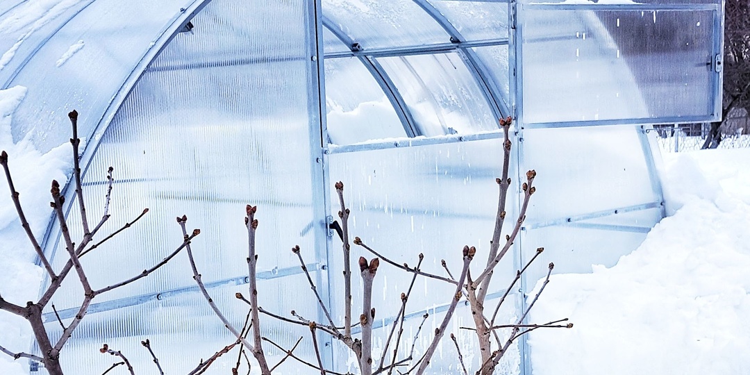 4 важных дела для дачников в марте