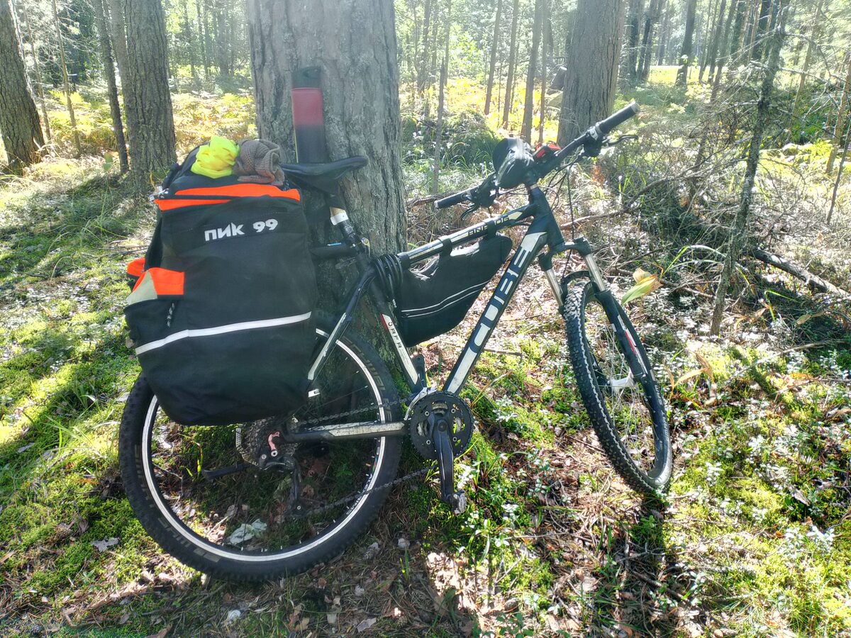 Мой верный друг