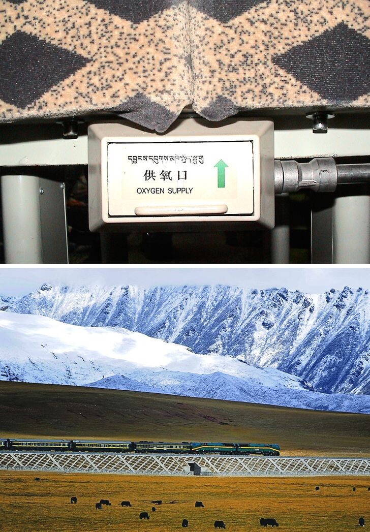 © Yaohua2000 / CC BY-SA 3.0 / Wikimedia Commons, © Jan Reurink / Wikimedia Commons