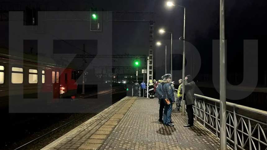    Фото: ИЗВЕСТИЯ; 5-tv.ru