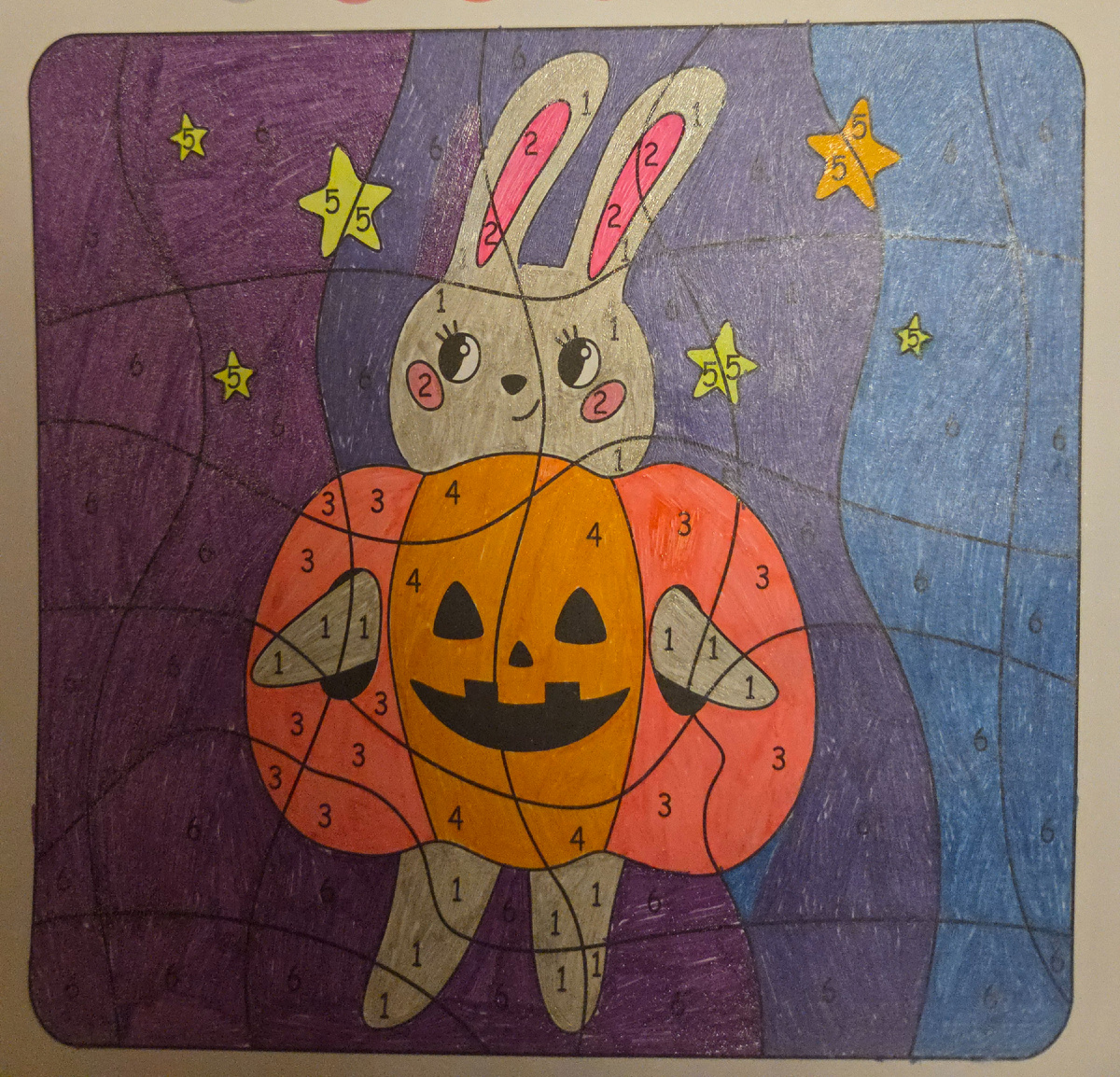 100 картинок. Фото автора.