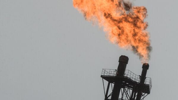    © РИА Новости . Рамиль Ситдиков