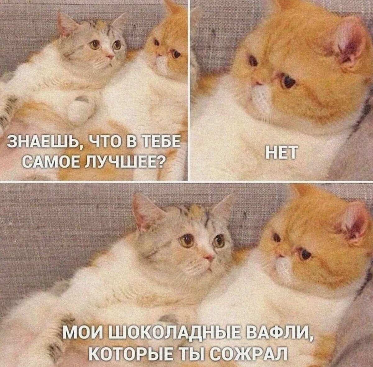 источник Яндекс-картинки