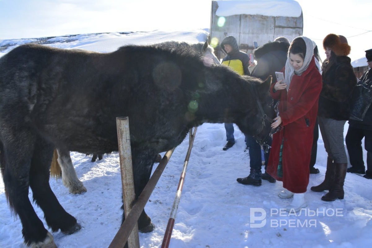    «Мы, говоря «агротуризм», имеем в виду «сельский туризм», и наоборот. Произошло смешение понятий». Галия Шакирова / realnoevremya.ru