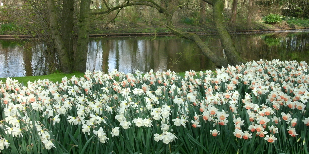 Цвет Амстердама в палитре Рембрандта. Картины мастера в Пушкинском музее