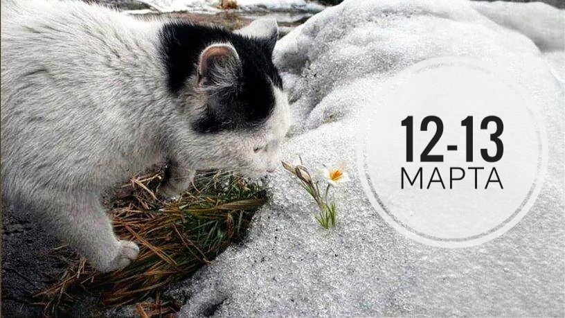 Нумерологический прогноз на 12 и 13 марта 2026: от мистики к серьезным решениям