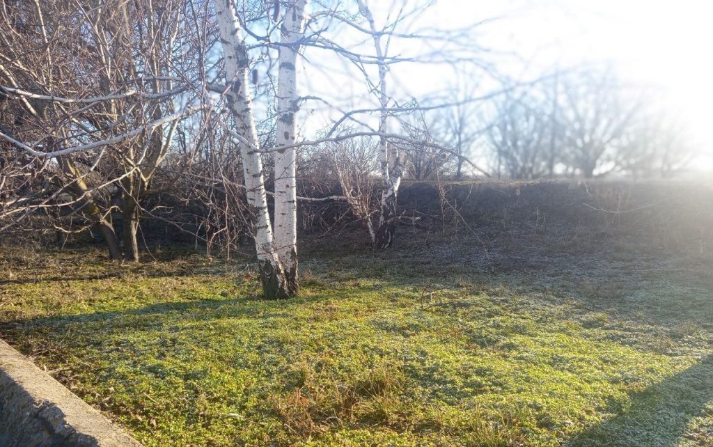    Фото: А. Токарева. Галина Ященко