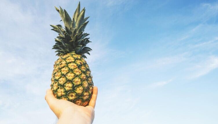    Как вырастить ананас на подоконнике? Фото: по лицензии CC0 Pxhere.com