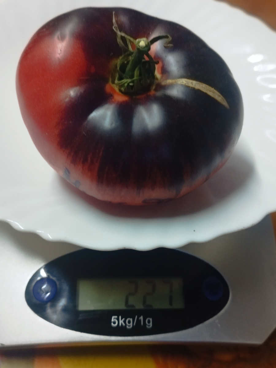 Это сорт. Стабилизированный. Мисс Форье