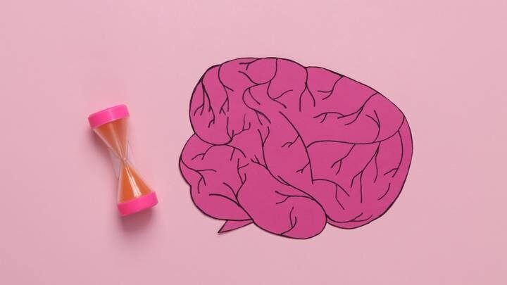  Фото: Shutterstock