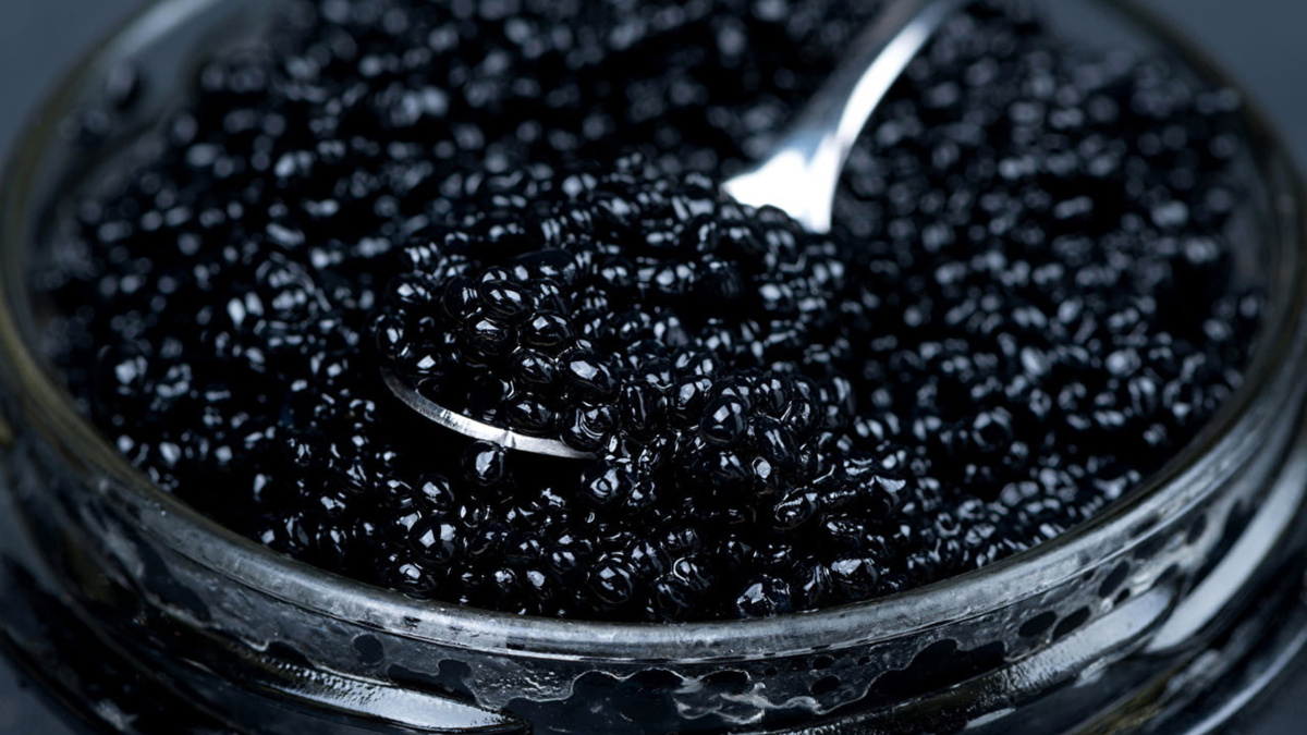    Черная икра