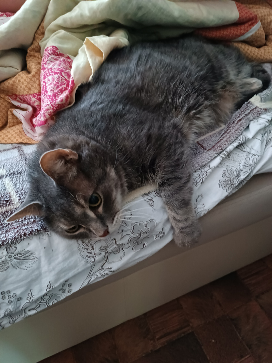 А я хочу спать как Семён 