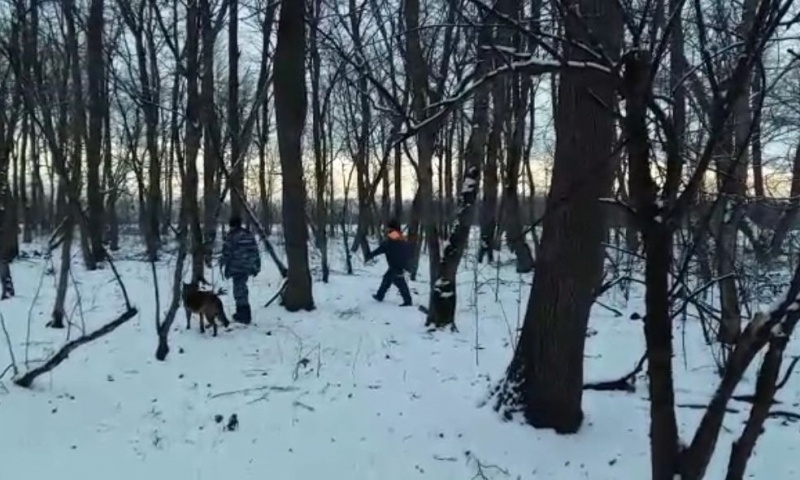    Поиски / Источник: 23.mchs.gov.ru