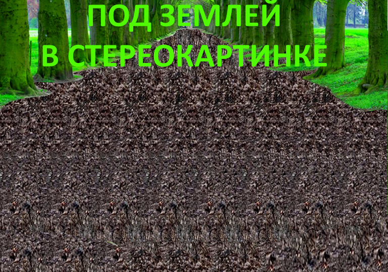 Что в стереокартинке увидели первым? Что вам нужно больше: машина или обручальные кольца?