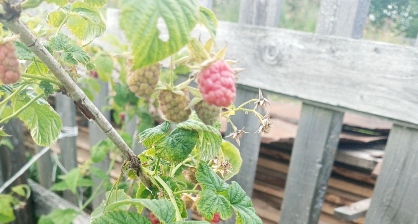    Фото редакции