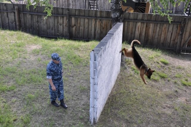    Фото: ГУФСИН по Новосибирской области Фото: МК в Новосибирске