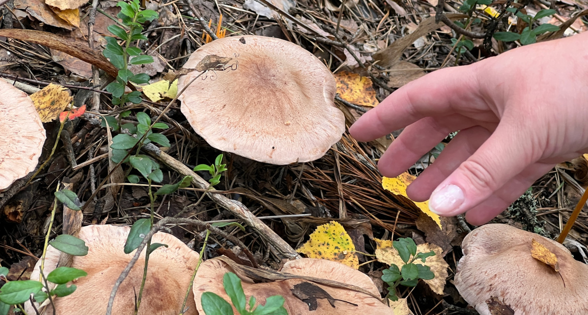    Фото: ПроГород