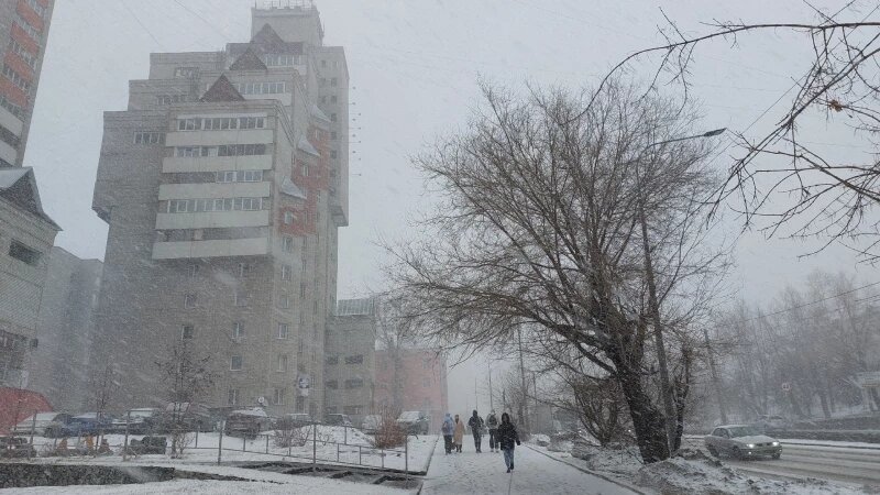     Весенняя метель накрыла Барнаул Анна Зайкова