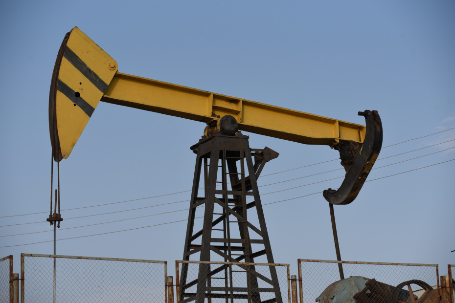    Елена Гурдина/NEWS.ru