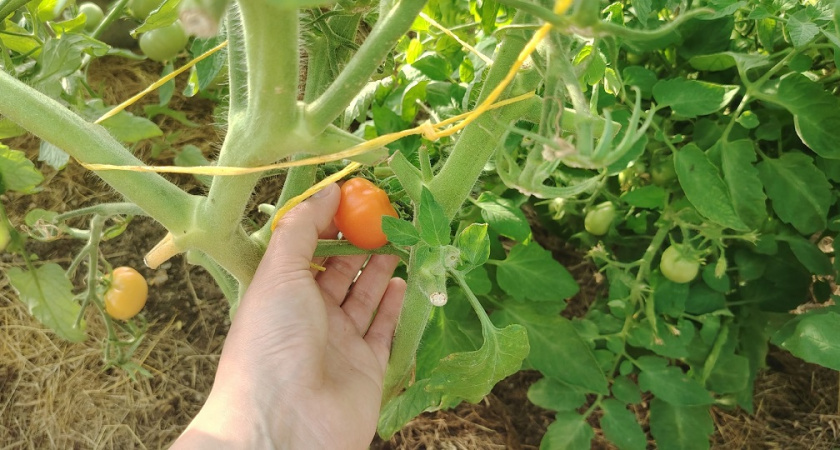    фото из архива редакции