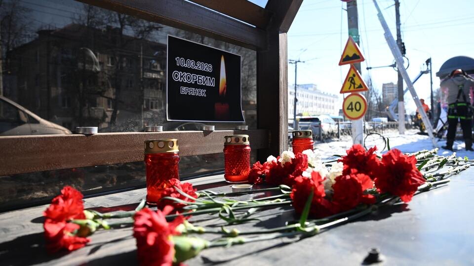 От Брянска — до Анкориджа и Дубая