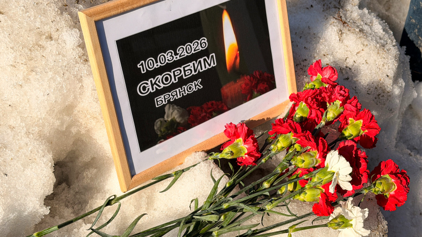    Фото: ИЗВЕСТИЯ/Денис Кулага; 5-tv.ru