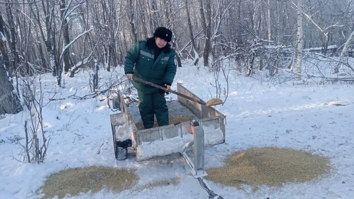     Ҡырағай хайуандар асыҡмаһын өсөн