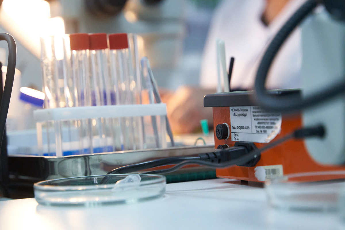    Фото: Лидия Аникина