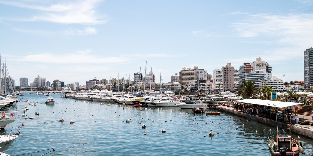 Почему россияне все чаще переезжают в Уругвай: тихая страна, о которой мало кто знает