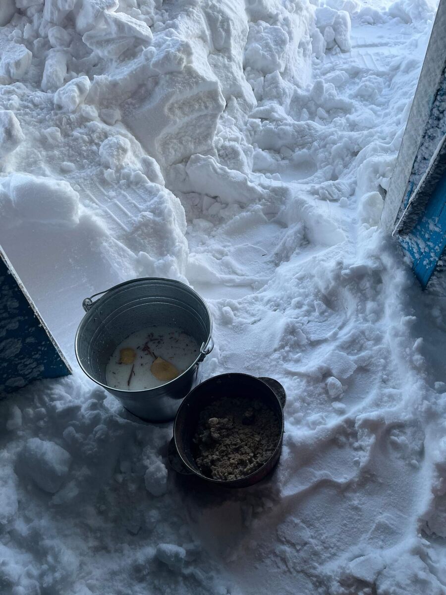 Торопилась пробиться сквозь сугроб чтобы не остыла водичка для курочек и каша для Лютика